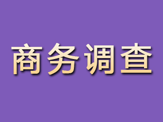 九龙坡商务调查