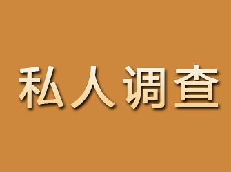 九龙坡私人调查